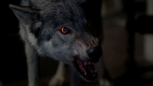 File:3x08 - werewolf.jpg