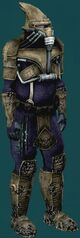 Salvagebanditenforcer