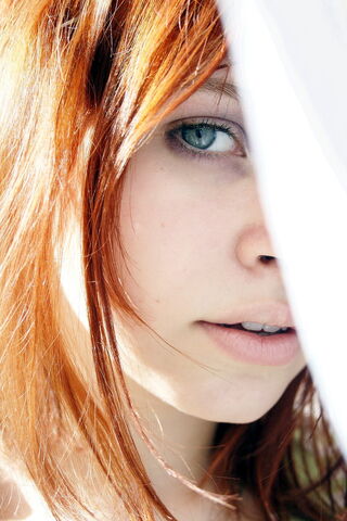 File:Ginger by radiojust.jpg