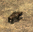Massiff