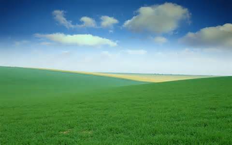 North Field