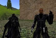 Neo dardiel 001