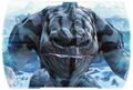 Thumbnail for version as of 13:53, February 7, 2012