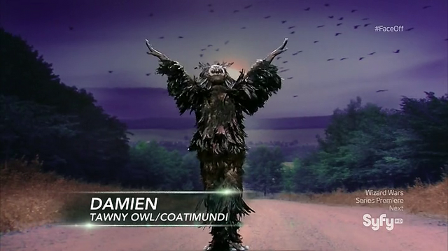 File:OwlCoatimundi.png
