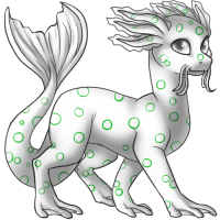 File:Blueringedotcopus.png