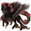 Image builder pet (22)