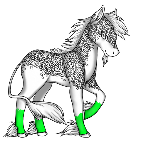 File:Socks.png