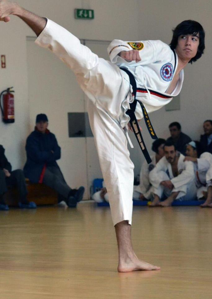 Category:Martial Art - Taekwondo Wiki - Wikia