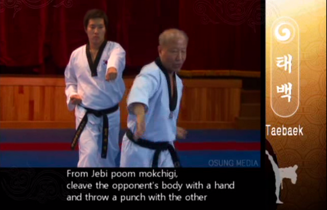 File:Taebaek TwistGrab.png