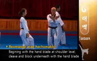 Taebaek LowKnifehandOpeningBlock