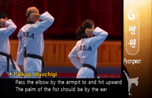 Pyongwon ElbowUppercut