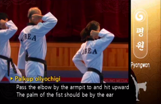 File:Pyongwon ElbowUppercut.png
