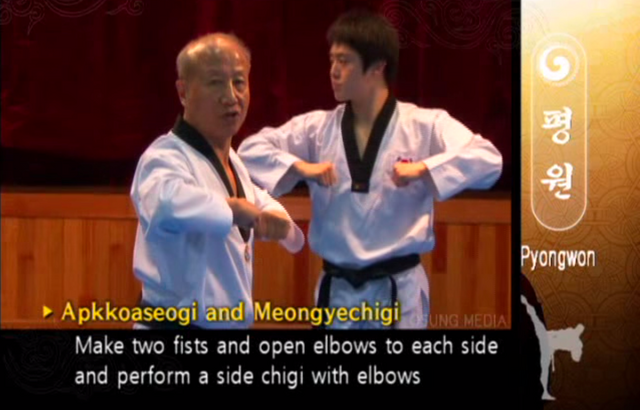 File:Pyongwon DoubleElbowStrike.png