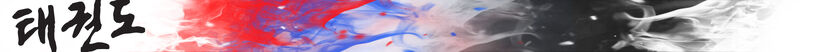 Tkd-banner