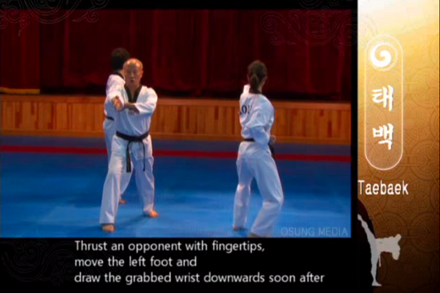 File:Taebaek PressingBlockFingertipThrust.png