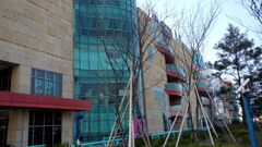 Dcsgdoor01.jpg