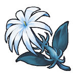 Blue Jasmine