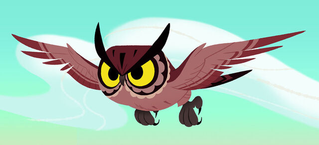 File:Owl.jpg