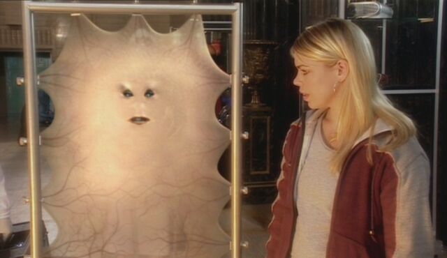 File:Cassandra and rose.jpg