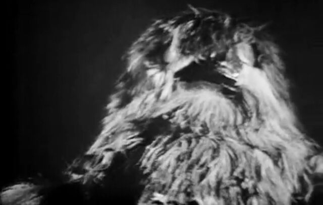 File:Yeti close 3.jpg