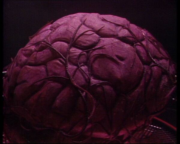 File:Giantbrain.jpg