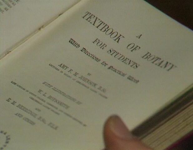 File:A Textbook of Botany.jpg