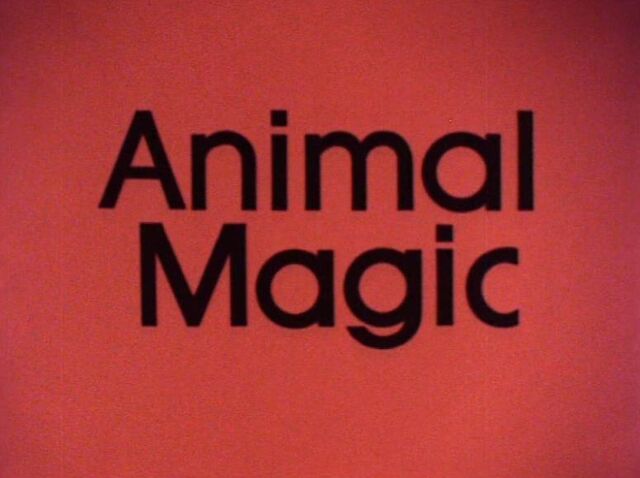 File:Animal Magic.jpg