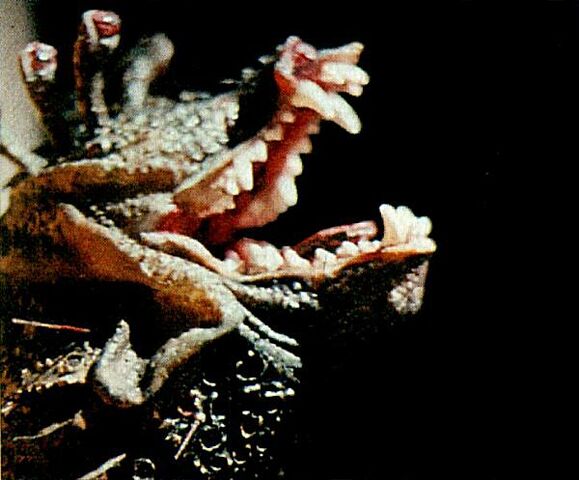 File:Drashig.jpg