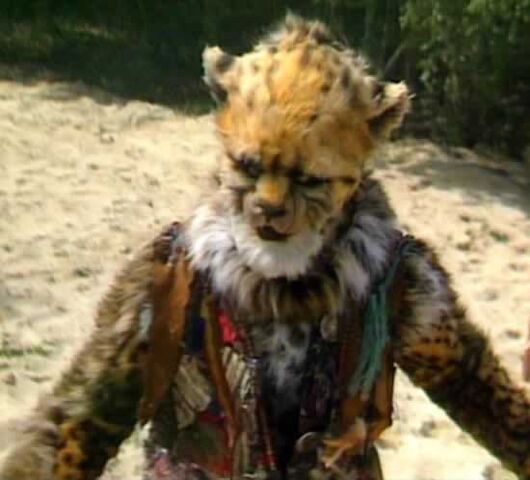 File:Cheetah per.jpg