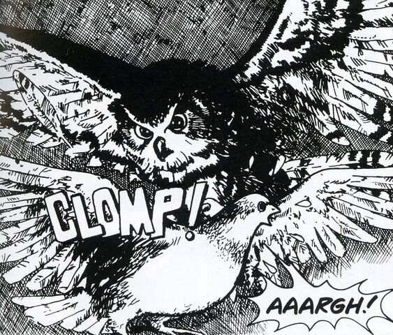 File:Owl.jpg