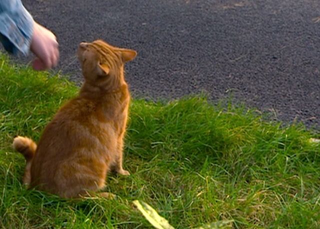 File:Ginger (Fear Her).jpg