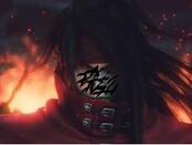 Niko.jpg