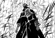 Exterminador Biju Akisame
