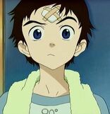 8264-flcl takun0053 large