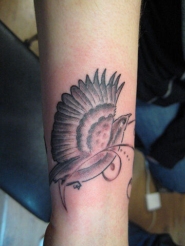 File:Bird1.jpg