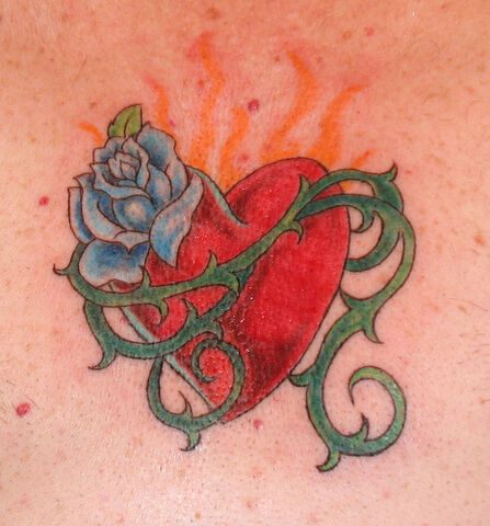 File:Heart2.jpg