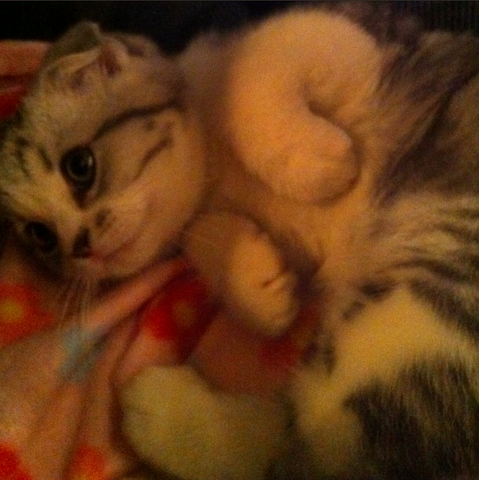 File:Meredith.png