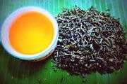 Golden cup of tea