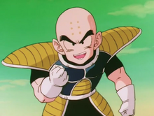 Krillin doesn't want to tell Vegeta