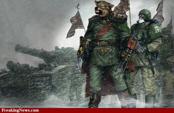 Wolf-Soldier