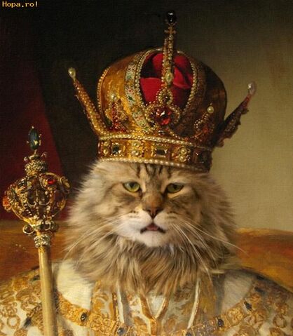File:Catking.jpg