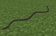 MC snake