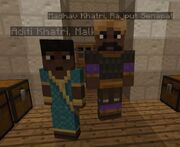 HindiVillagers