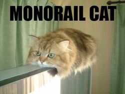 Monorail-cat