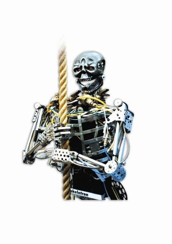 File:Skeletron.jpeg