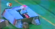 Bugs buggy