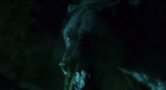 File:BEARWOLF.png