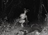 Wendigo légende