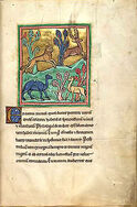 220px-RochesterBestiaryFolio007rLeopard.jpg