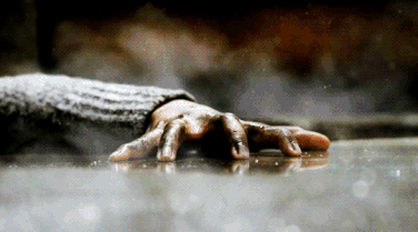Theo 5.20.gif
